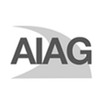 汽车工业行动集团 (AIAG)会员