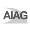 Automotive Industry Action Group (AIAG)